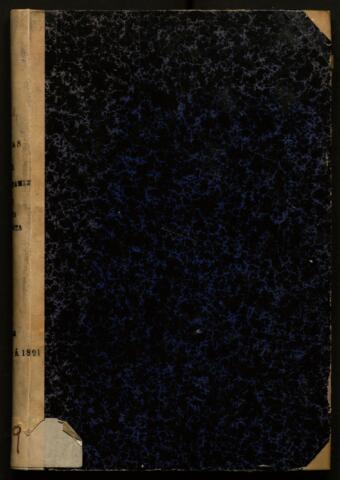 Open original Objecte digital