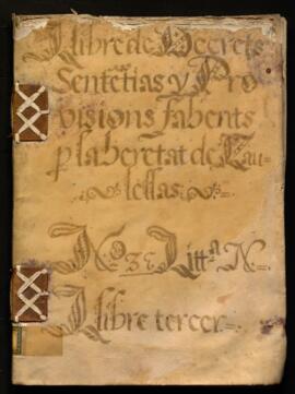 Llibre de Decrets, Sentencies y Provisions fahents per la heretat de Caulelles 1571 (sig BB-MS-II...