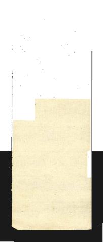 Open original Objecte digital