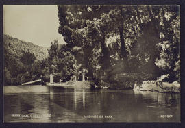 image 01