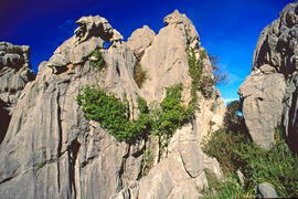 Serra de Tramuntana. Zona càrstica prop de Lluc. Escorca