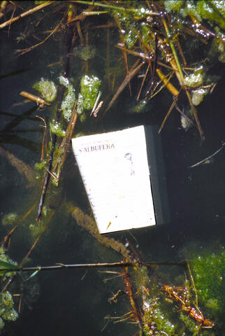 Original Objecte digital not accessible