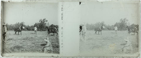 Original Objecte digital not accessible