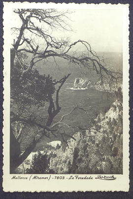 image 01