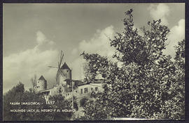 image 01
