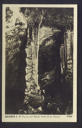 image 01