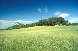 Sant Nofre i un cel blau
