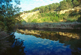 Serra de Tramuntana. Torrent de Mortitx. Lavanor
