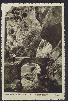 image 01