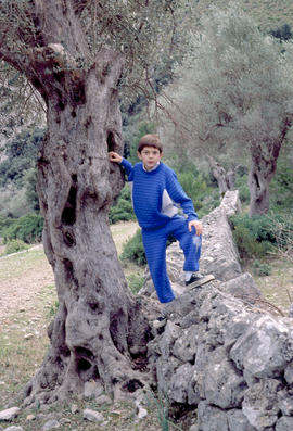 Nin dins un olivar