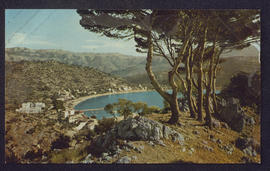 image 01