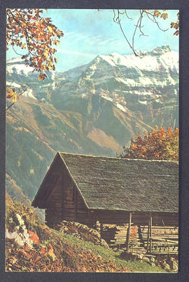 image 01