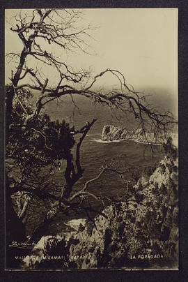 image 01