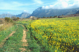 Serra d'Arta. La Tudossa
