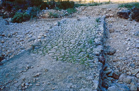 Pas empedrat de torrent