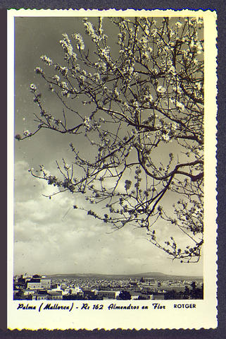 Original Objecte digital not accessible
