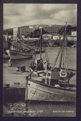 image 01