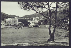 image 01