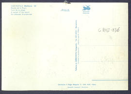 image 02