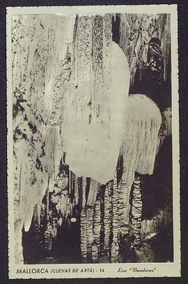 image 01