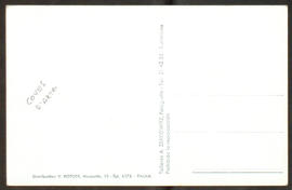 image 02