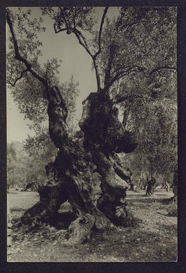 image 01