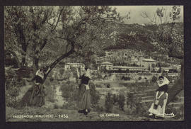 image 01