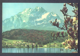 image 01