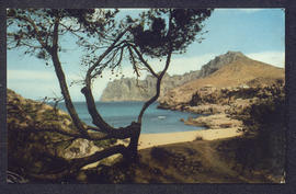 image 01