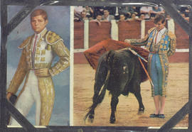 Torero