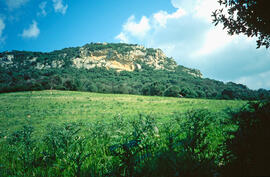 Puig de Sant Nofre
