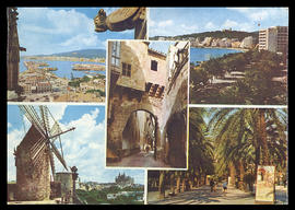 image 01