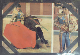 Torero