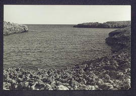 image 01