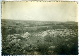 Vista del camp