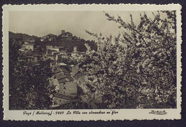 image 01