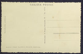 image 02