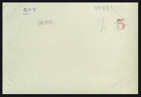 Original Objecte digital not accessible