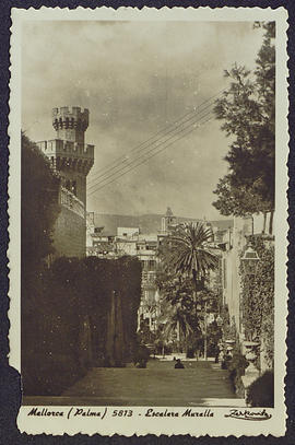 image 01