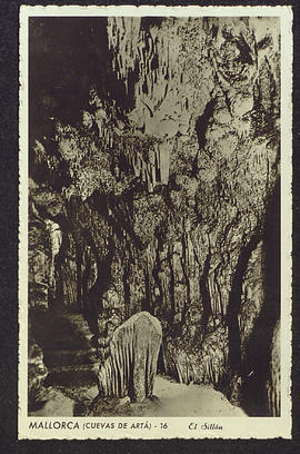image 01