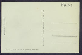image 02