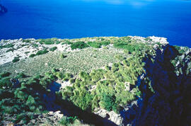 Vista aturonada de la mar