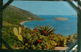 image 01