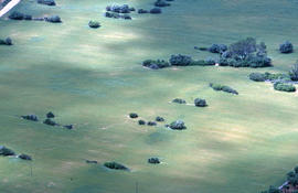 Vista des de Sant Nofre