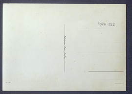 image 02