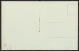 image 02