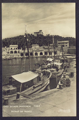 image 01