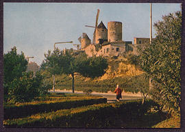 image 01