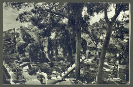 image 01