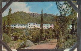 image 01
